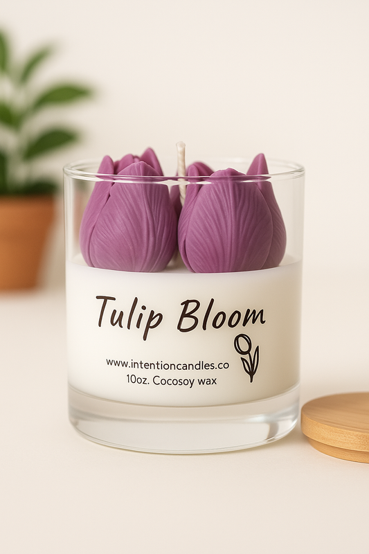 Tulip Bloom
